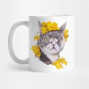 Willow The Beautiful Cat face Mug